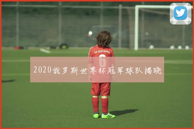 2020俄罗斯世界杯冠军球队揭晓
