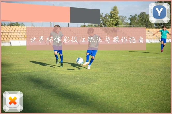 世界杯体彩投注玩法与操作指南