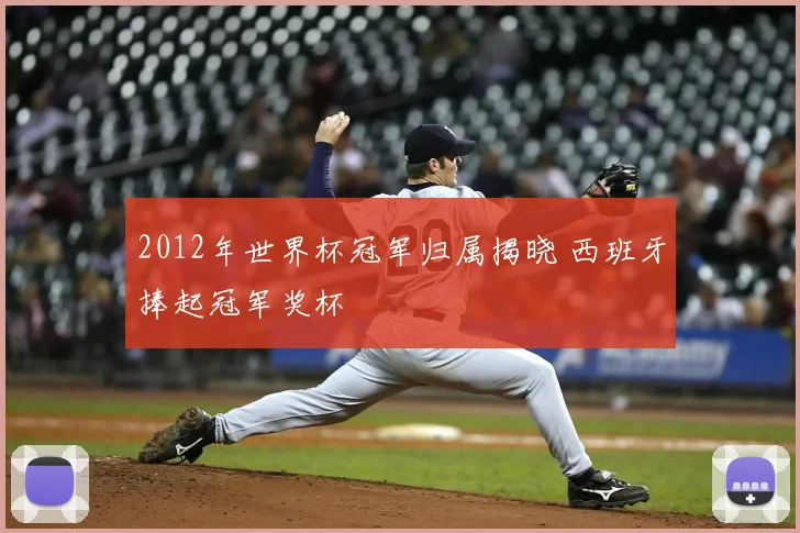 2012年世界杯冠军归属揭晓 西班牙捧起冠军奖杯